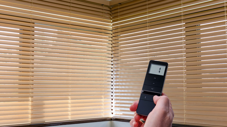 A hand holding a remote control with shuttered windows in the background