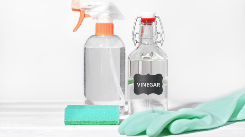 Spray bottle of vinegar next to green glove and sponge