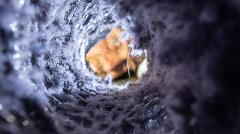 A person looking Inside a dryer duct that's clogged with lint
