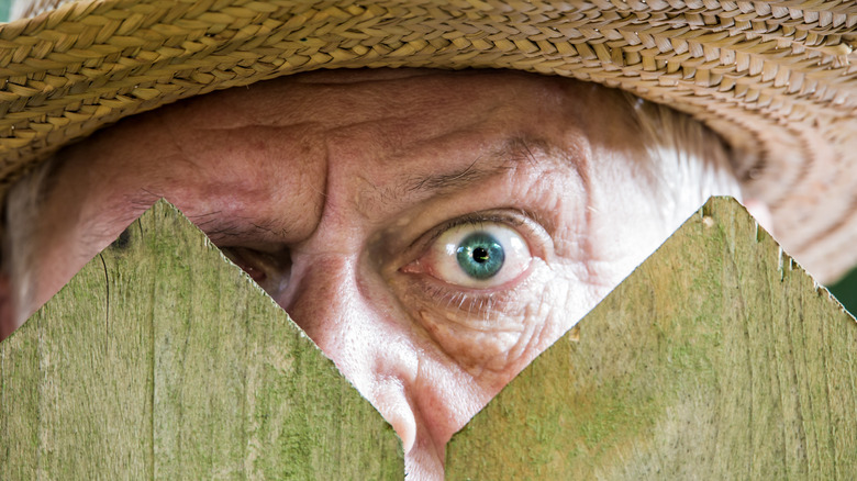 Neighbor glaring over fence pickets