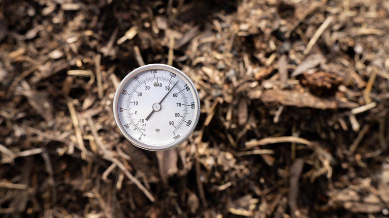 A compost thermometer measures the temperature of a compost pile.