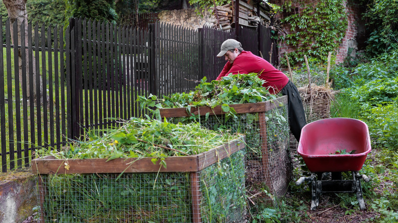 A light-skinned man adds grasses to a backyard compost bin.