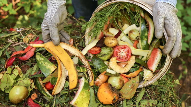 A person's gloved hands pour a bucket full of food waste onto a compost pile.