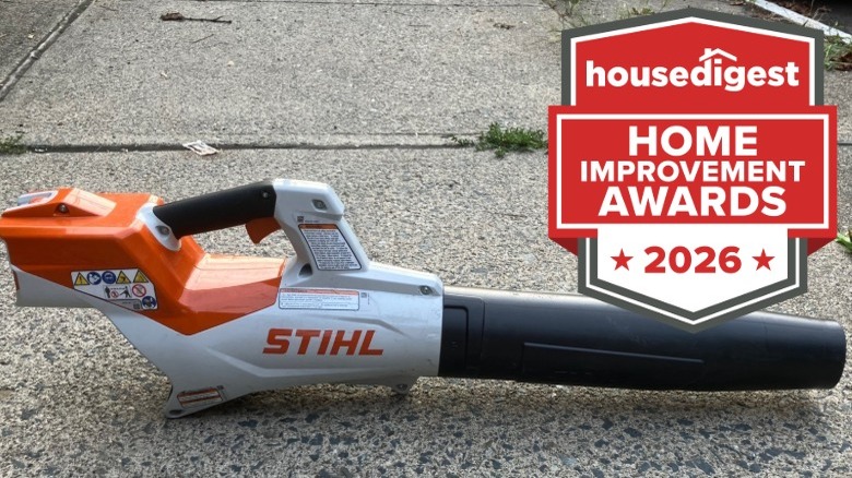 A Stihl leaf blower sitting on the sidewall