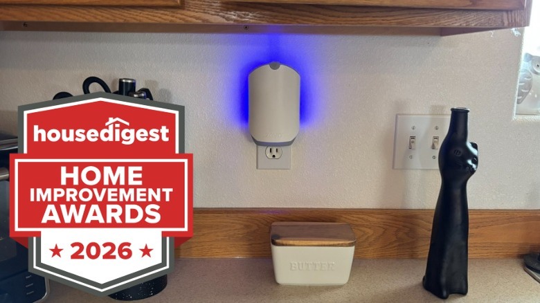 A Zevo Insect Trap glowing blue while plugged in above a kitchen counter