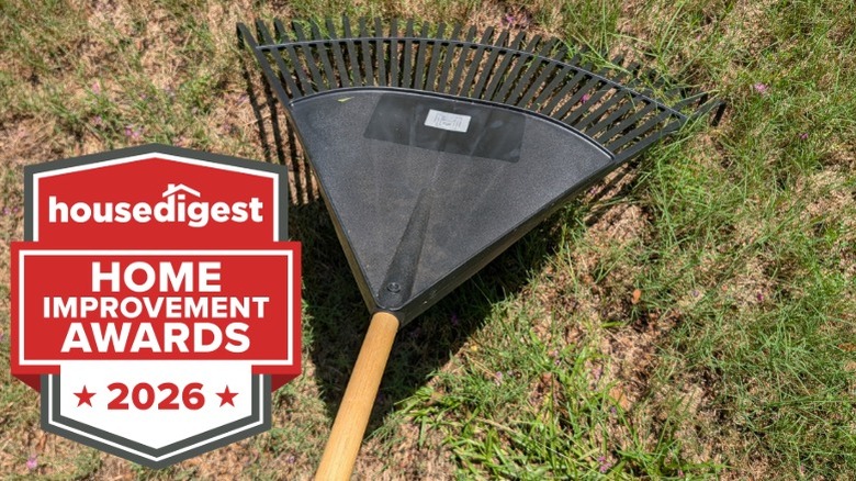 The head of a black lawn rake sitting on the grass