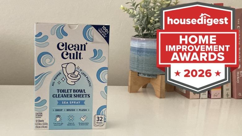 A box of Clean Cult toilet cleaner sheets in front of a plant and books