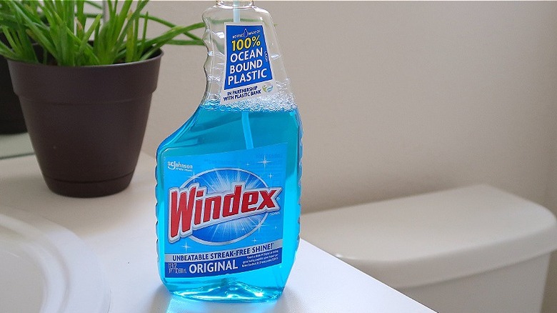 A bottle of Windex cleaner sits on a bathroom counter next to a toilet in the background and a potted plant on the left