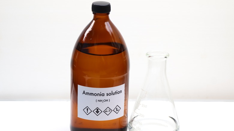 ammonia solution in bottle