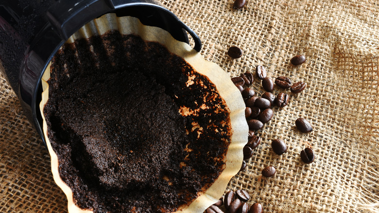 used coffee grounds in filter