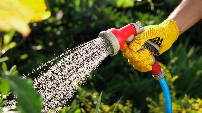 Spraying garden hose