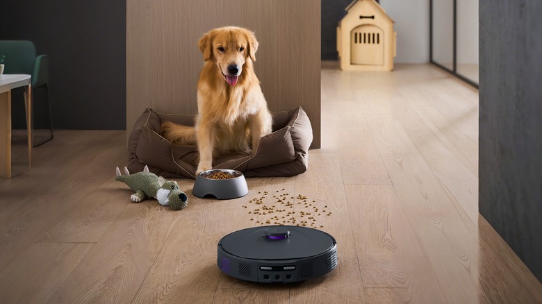 Robot cleaner in front of a dog next to spilled kibble