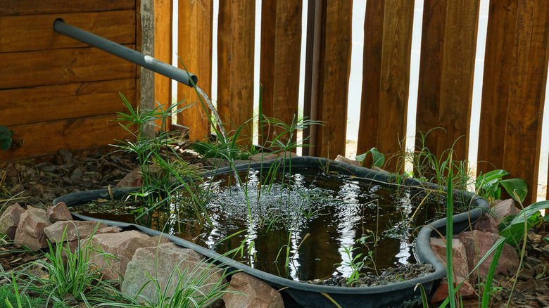 Small standing pool with spout