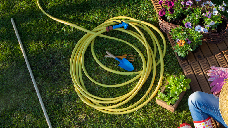 Garden hose in yard