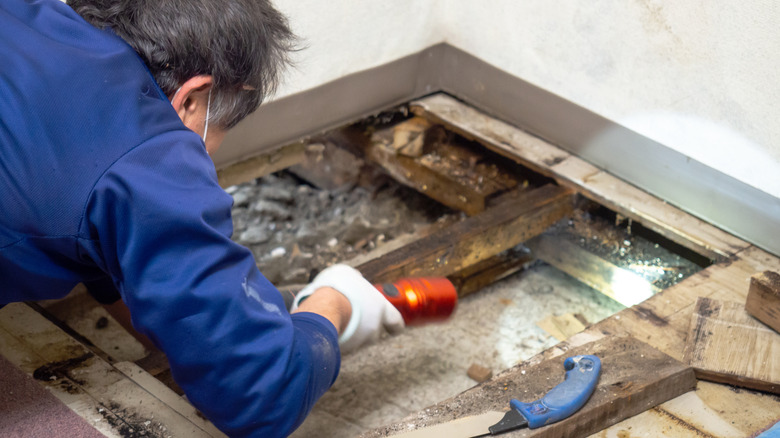 Mold under floorboards