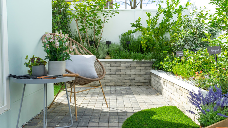 A backyard with little lawn full of plants to help attract pollinators