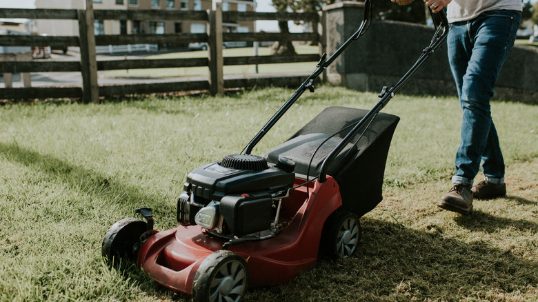 Person cutting the grass with a lawn mower