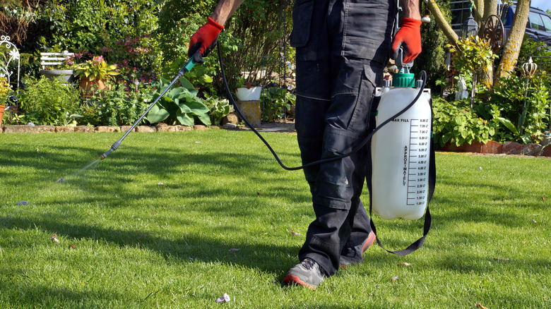 Spraying yard