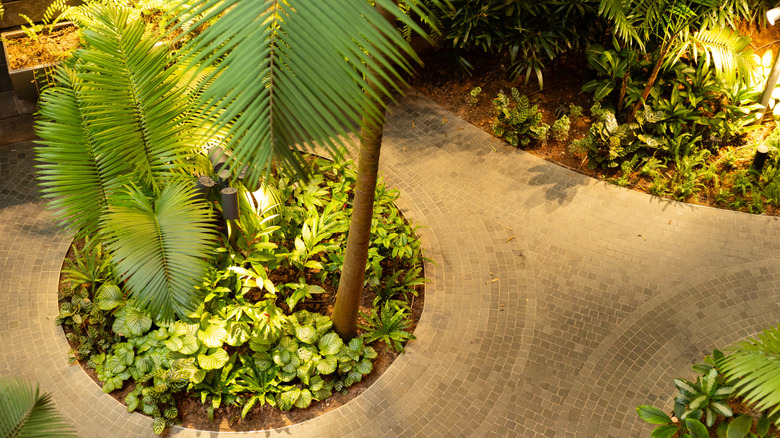 Warm, biophilic lighting in a garden with lush palms and greenery