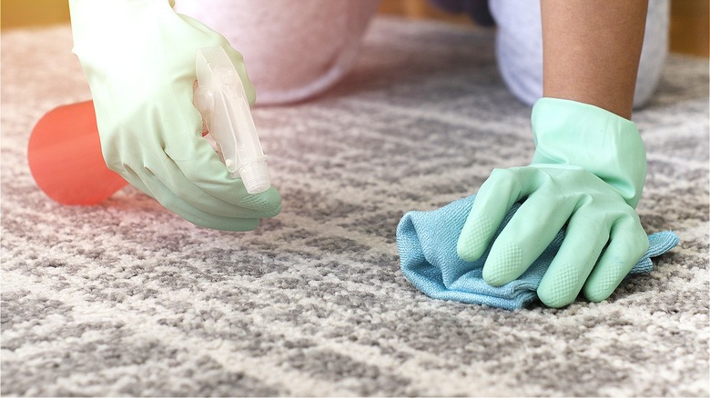 Gloved hands cleaning carpet