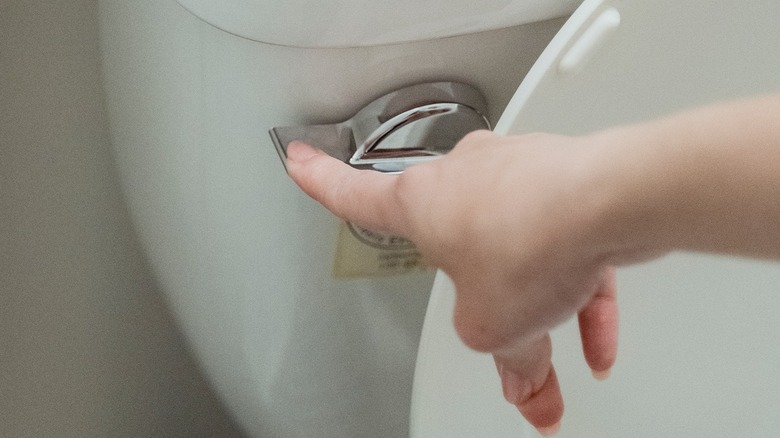 person flushing the toilet