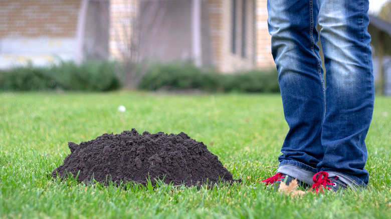 man standing beside mole hole