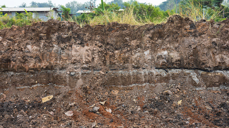 Multiple soil types are revealed by construction.