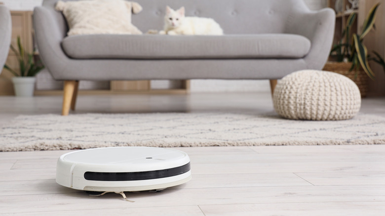 A white robot vacuum cleaning the living room while a cat watches from the couch.