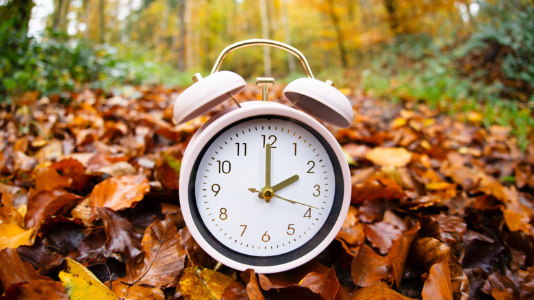 Alarm clock in forest with colorful fall foliage