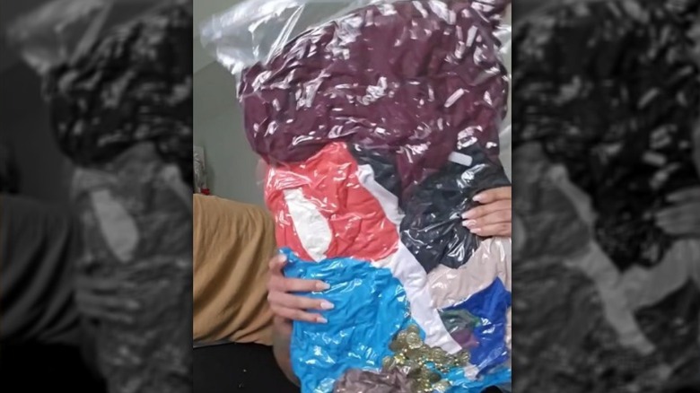 Showing off the Dollar Tree vacuum bag in a review