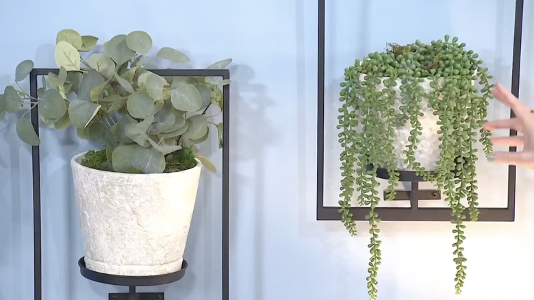 Two upcycled pots with plants floating on a wall with the help of planter frames.