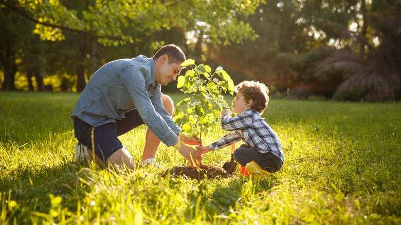 A man and child planting a tree in a yard