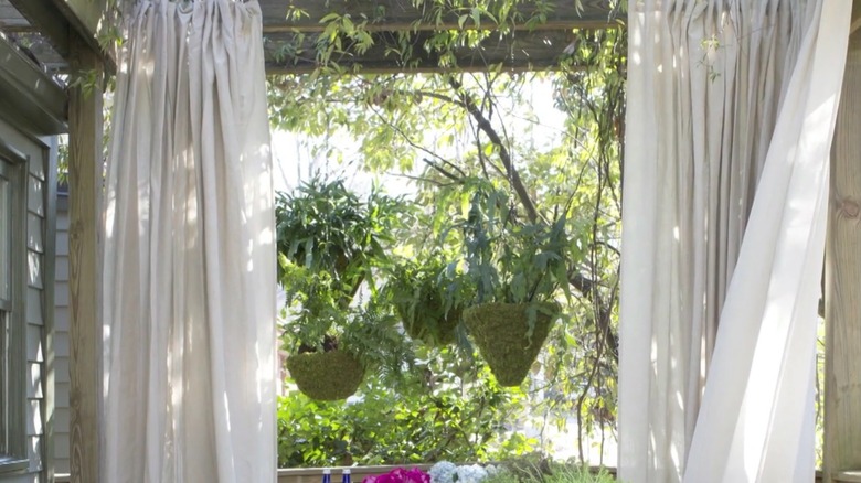 Dan Faires uses greenery and drapery for a biophilic look