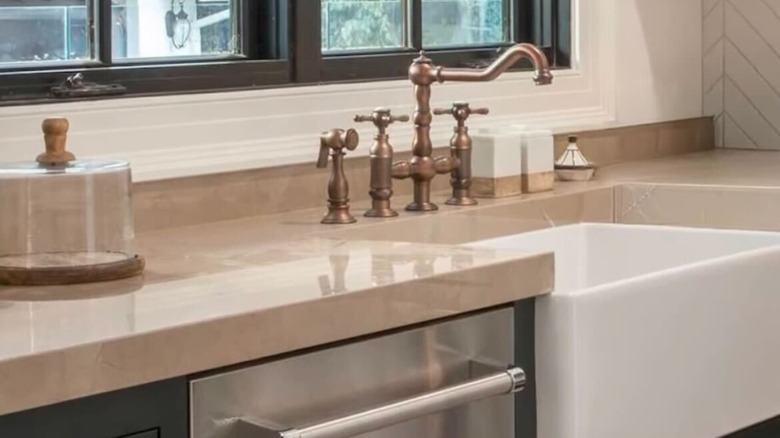 A kitchen sink with a brushed brass faucet, black window frame, and stainless steel dishwasher.