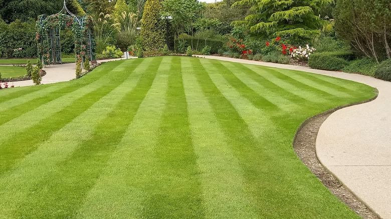A perfectly striped lawn in the middle of a beautiful garden