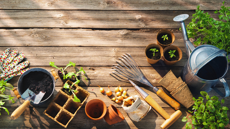 Gardening kit sits on deck