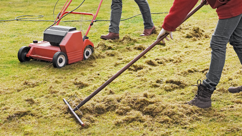 lawn with power dethatcher and rake
