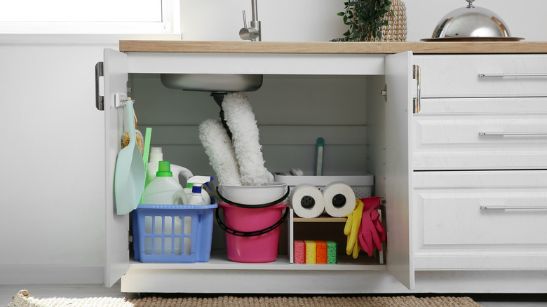 Opened cabinet doors below kitchen sink with cleaning supplies