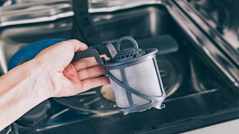 Person cleaning a dishwasher filter