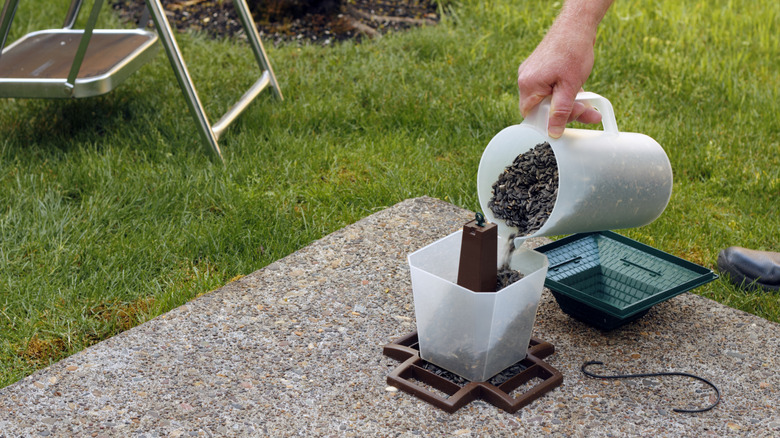 Person filling a plastic feeder with bird seeds