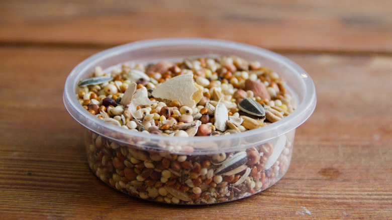 Bird seed in a small plastic container