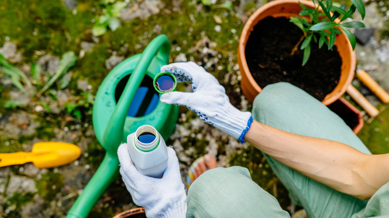 Person measuring liquid fertilizer to pour into a watering can