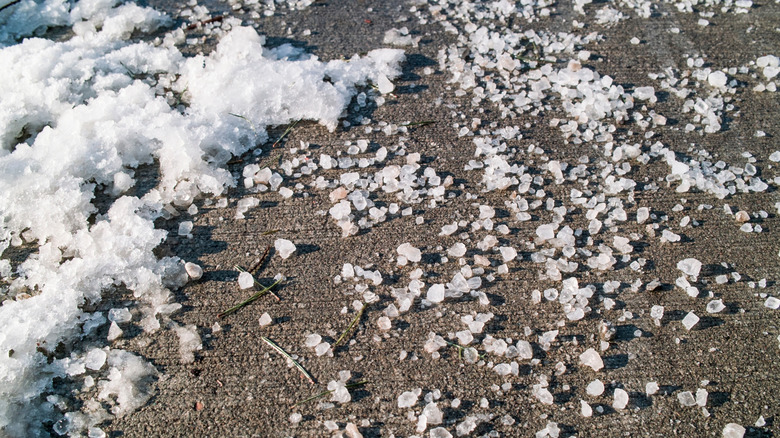ice salt on sidewalk near snow