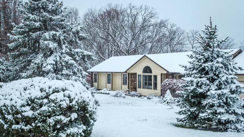 A ranch house and trees are covered in snow