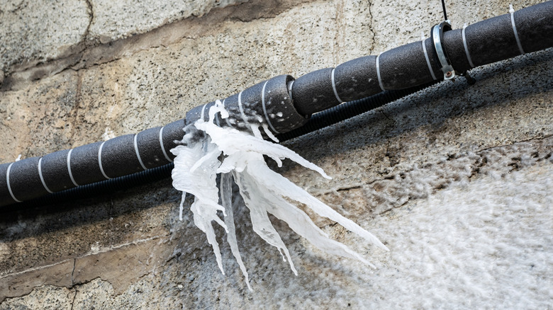 Frozen water has burst a pipe wrapped with foam that hangs in a cement basement