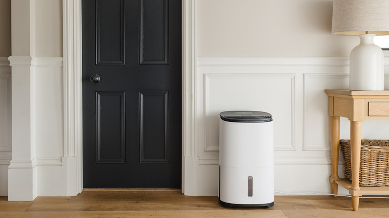 A large white dehumidifier placed on a wood floor beside a black door and white and beige walls