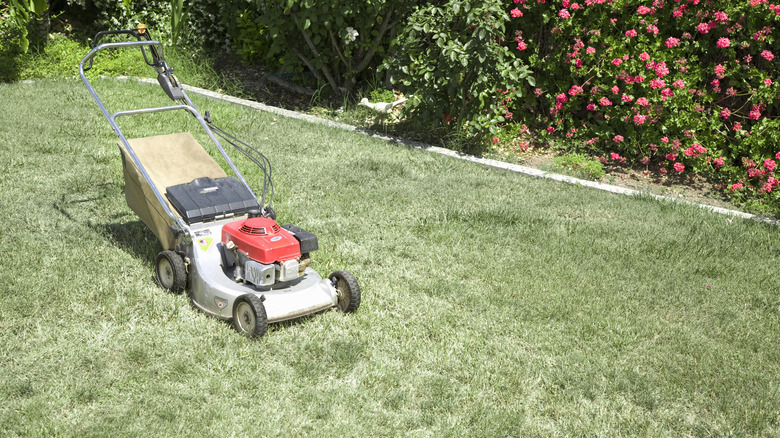 Mower on grass