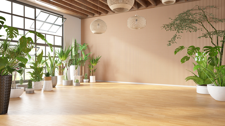 Potted plants on bamboo flooring