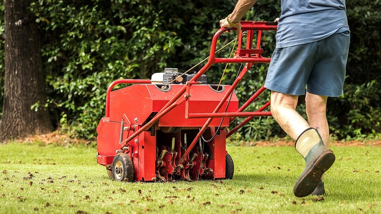 A person uses a gas powered aerating machine to aerate a residential grass yard