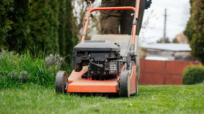 mowing a lawn with a lawn mower